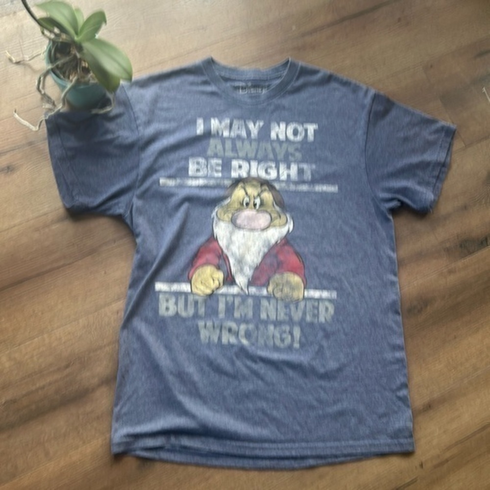 Disney Snow White Shirt ! Large